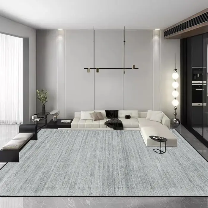 Tapis de salon de luxe léger et minimaliste