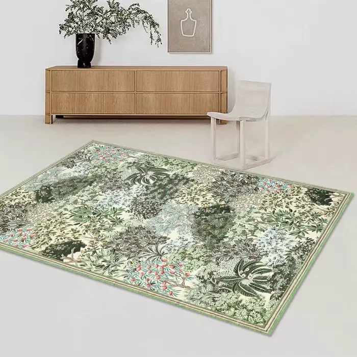 Tapis lavable pour salon