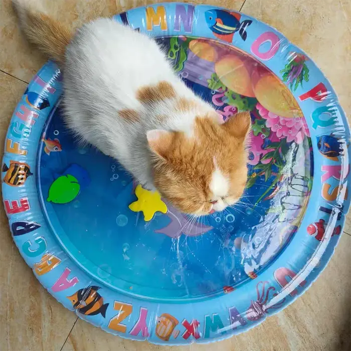 Tapis gonflable rempli d'eau pour animaux de compagnie