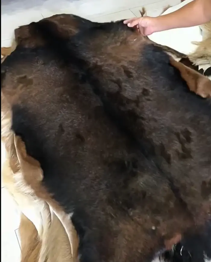 Tapis de zone unique en peau de chèvre naturelle