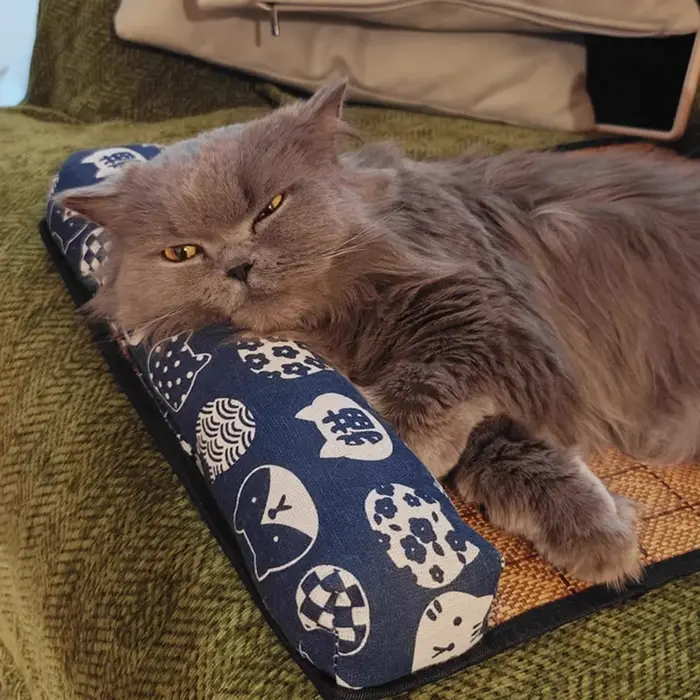 Tapis rafraîchissant naturel pour chat