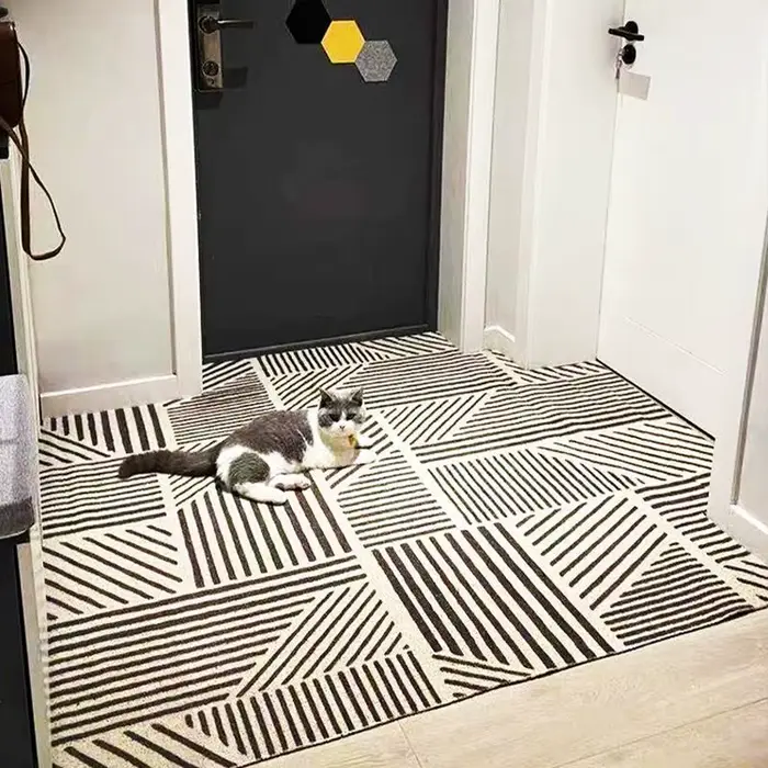 Le tapis de porte d'entrée peut être nettoyé