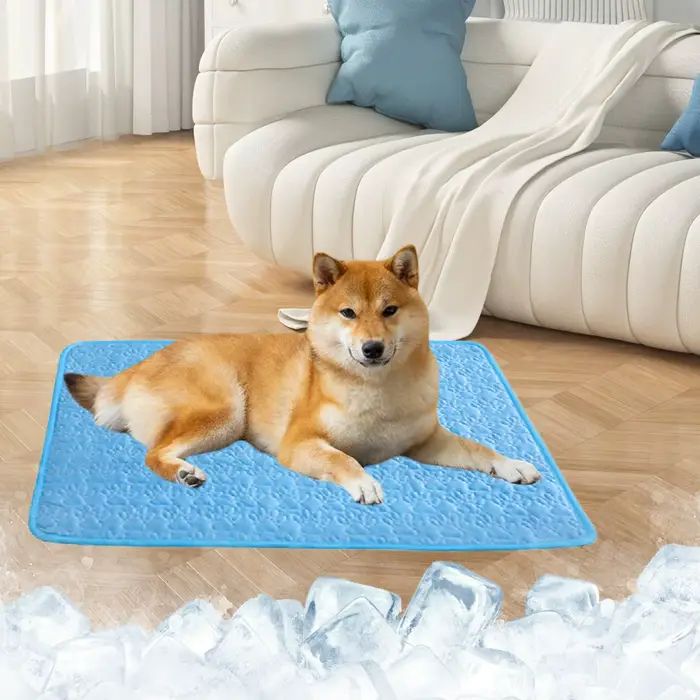 Tapis rafraîchissant pour chien