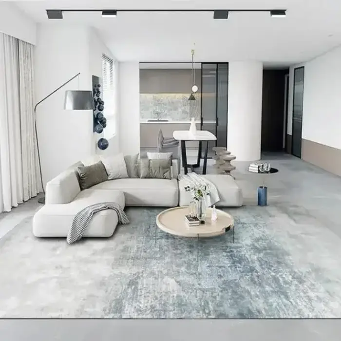 Tapis de luxe léger pour salon