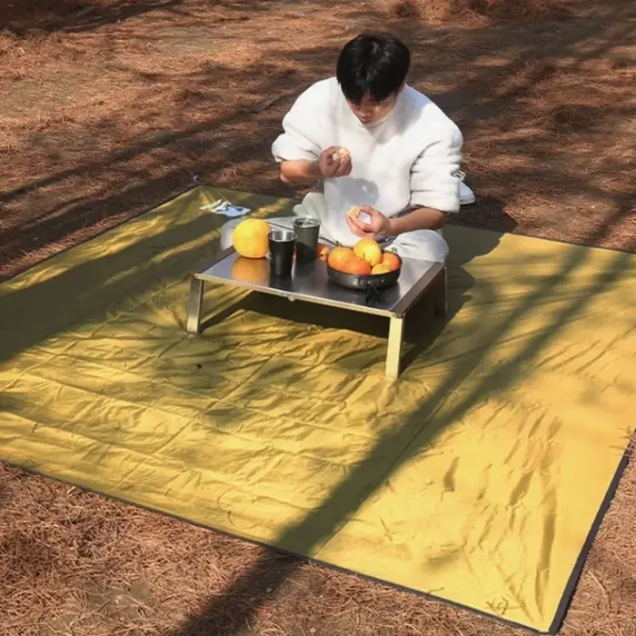 Oxford voyage pique-nique Camping tapis extérieur utile imperméable épaissi Simple