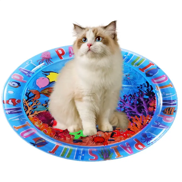 Tapis de jeu sensoriel d'eau