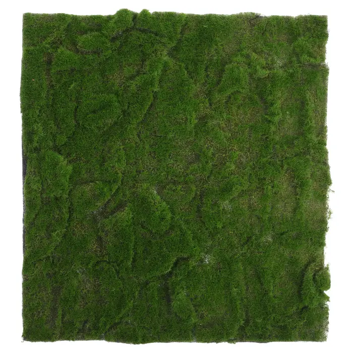 Tapis de pelouse artificielle en mousse simulée, faux tapis d'intérieur et d'extérieur, artisanat ve