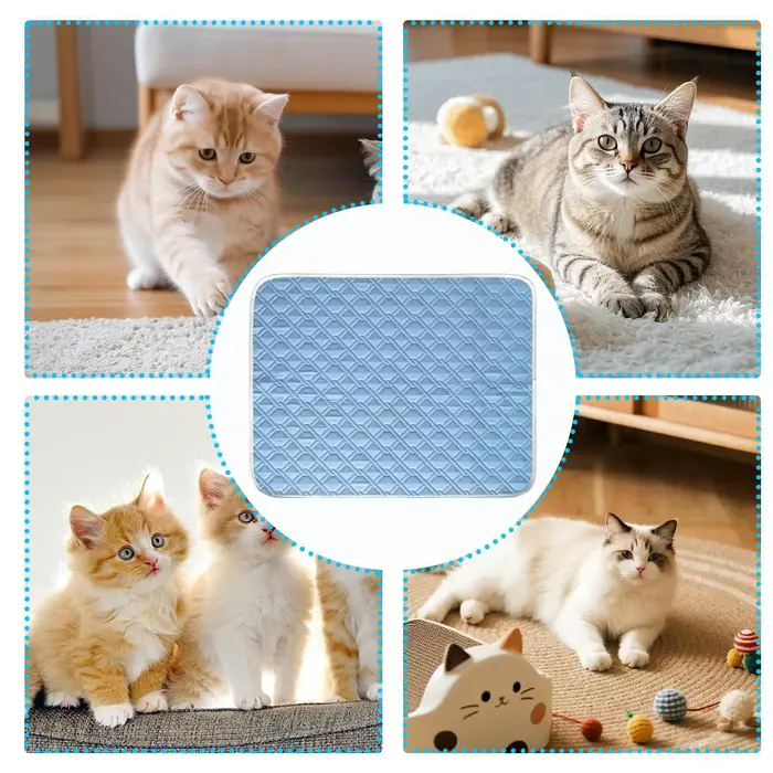 Tapis rafraîchissant d'été pour chien