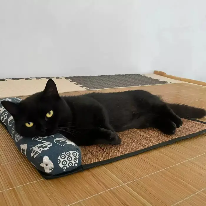 Tapis de refroidissement naturel pour chat