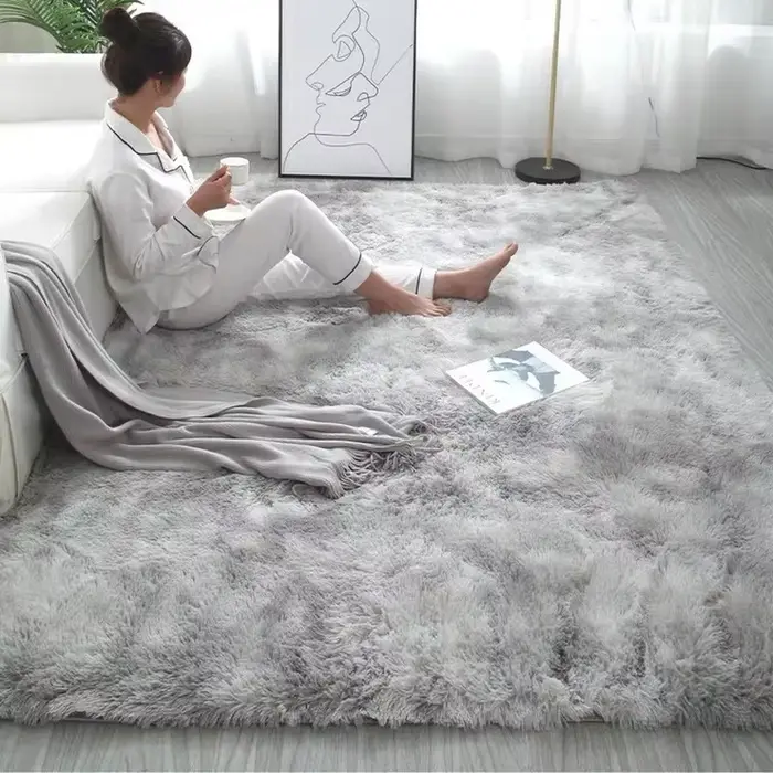Grands tapis moelleux pour salon moderne
