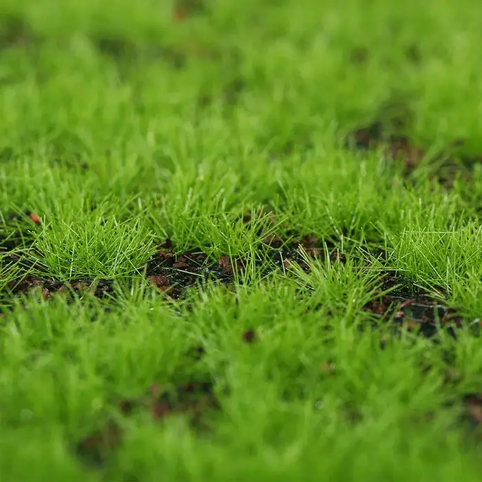 Gazon en Mousse Artificielle pour Décoration d'Extérieur