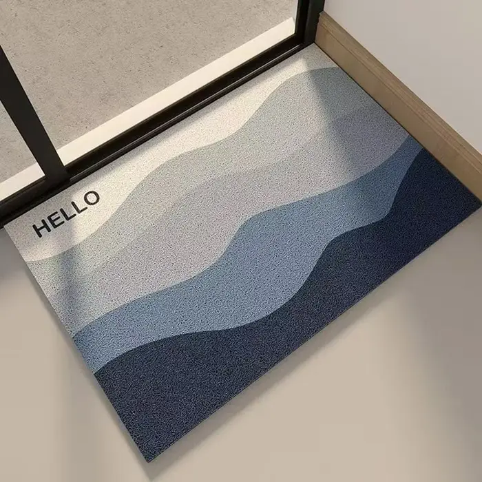 Tapis d'entrée, tapis de sol pour porte d'entrée, tapis en soie à anneaux, tapis de sol pour les pie