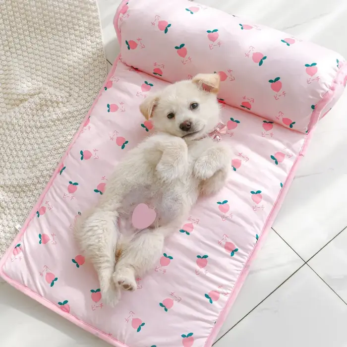 Tapis rafraîchissant pour chien