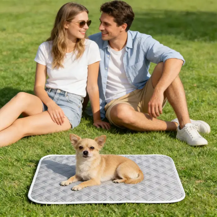 Tapis rafraîchissant d'été pour chien