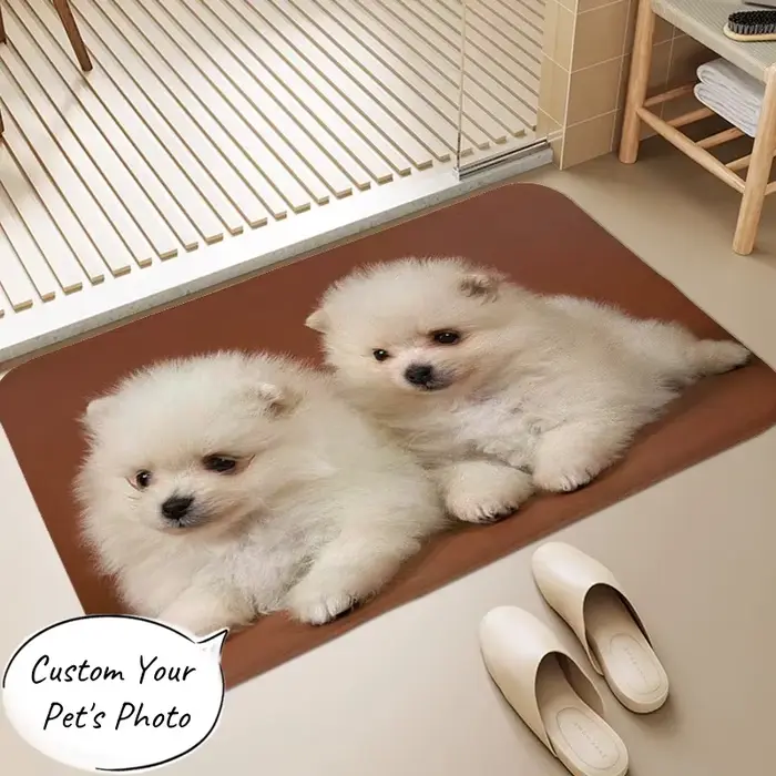 Tapis personnalisé pour animaux de compagnie, télécharger votre Photo, tapis de sol d'intérieur pers