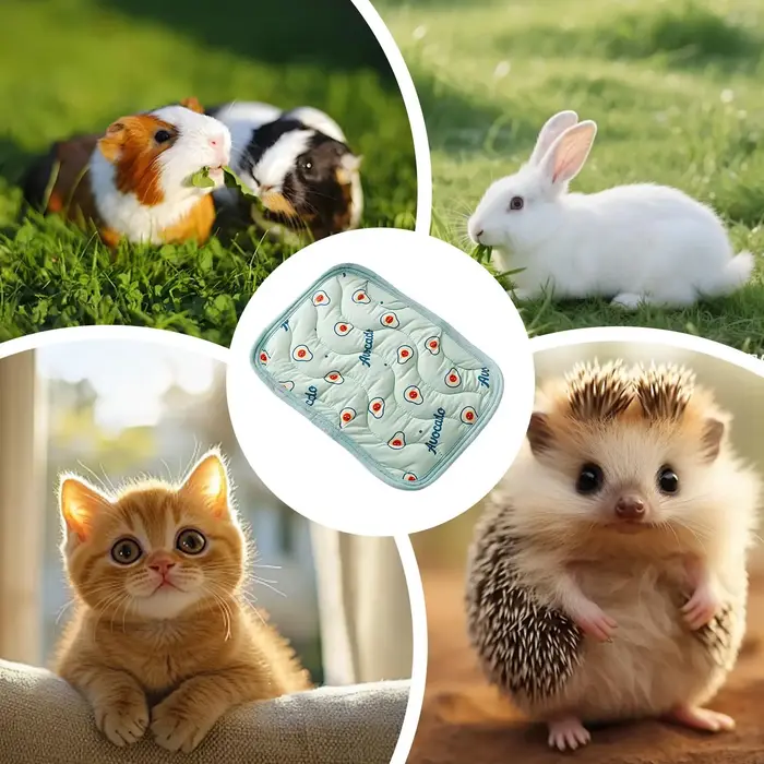 Tapis rafraîchissant pour animaux de compagnie