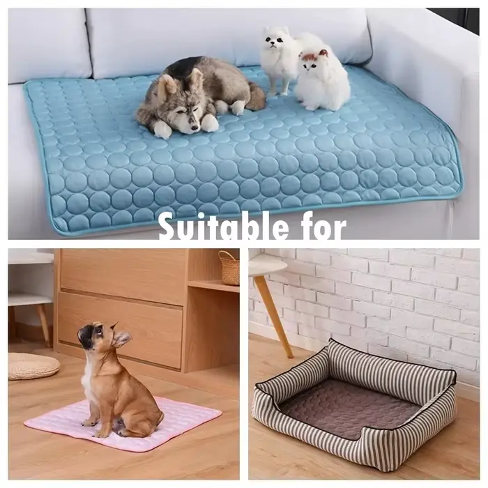 Tapis rafraîchissant pour chien