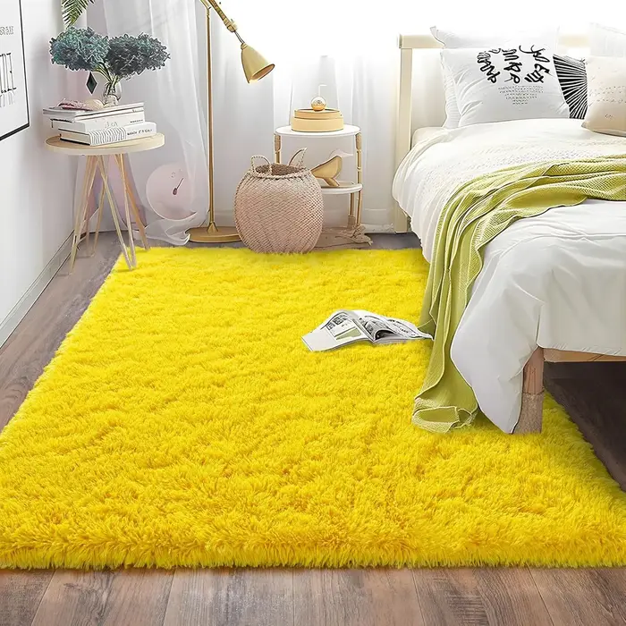 Tapis doux pour salon