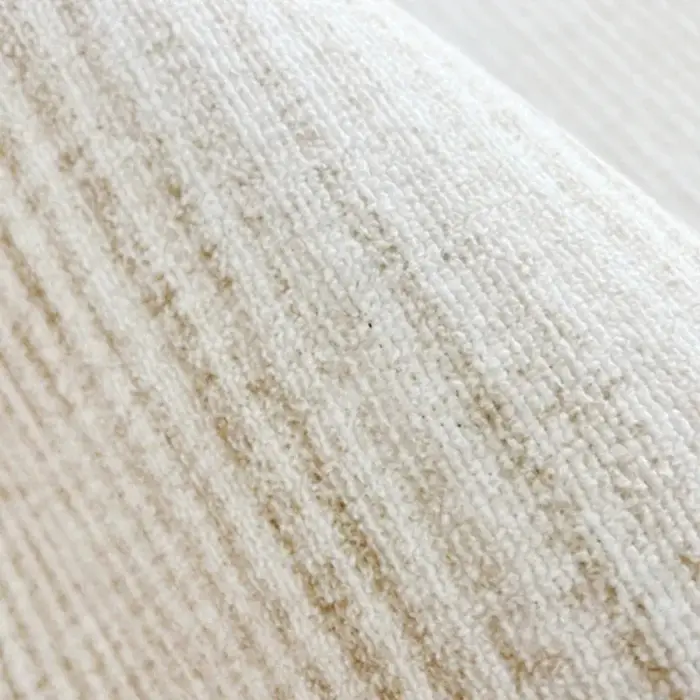 VIKAMA Tapis d'entrée minimaliste résistant à l'usure et aux taches