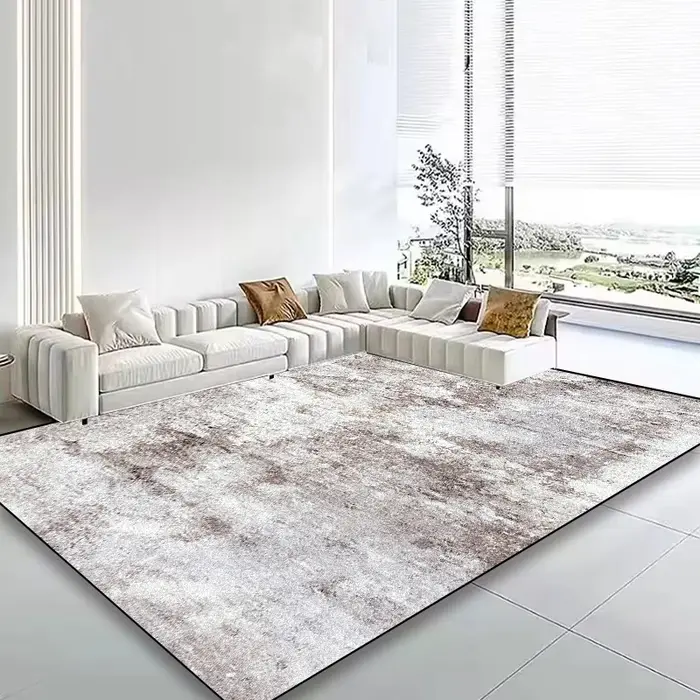 Grand tapis de style nordique antidérapant pour salon, décoration, tapis de zone de canapé, facile à nettoyer, tapis de table basse 200x300, tapis de chambre et de salon