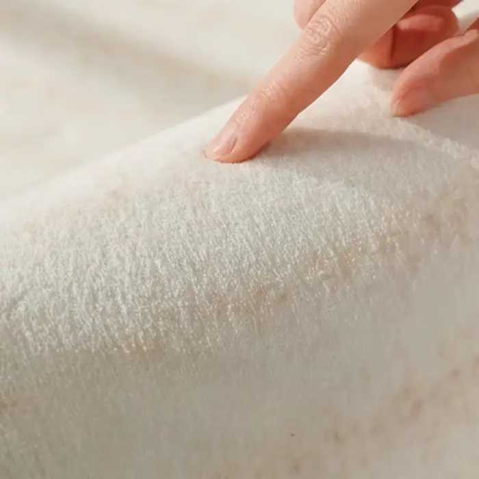 Tapis de Style crème pour salon