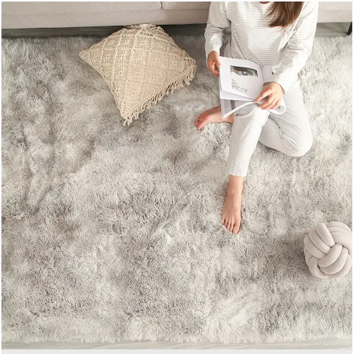 Tapis de chambre à cheveux longs, couverture intérieure en peluche, salon recouvert, moderne et minimaliste, taille 800mm x 1600mm