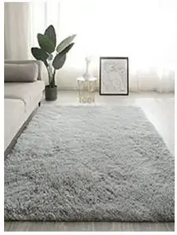 Tapis de chambre à cheveux longs, couverture intérieure en peluche, salon recouvert, moderne et mini