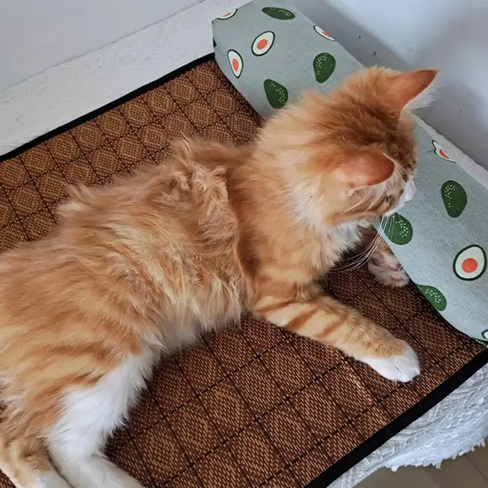 Tapis rafraîchissant naturel pour chat