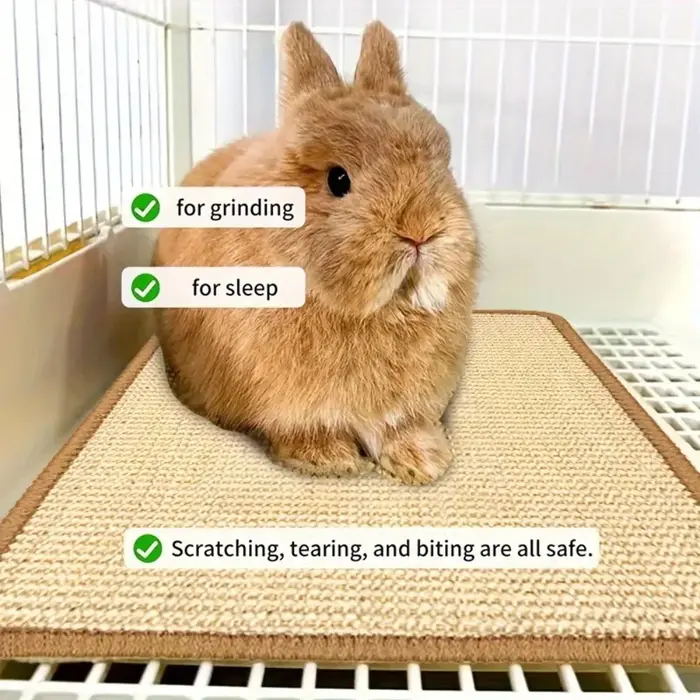 Tapis à mâcher et à gratter pour lapin – Coussin antidérapant en fibre naturelle | Sous-vêtements en cage et soins des