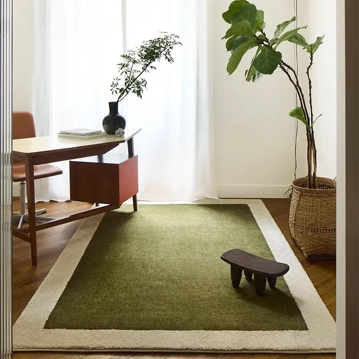 Tapis de décoration de salon de Style français