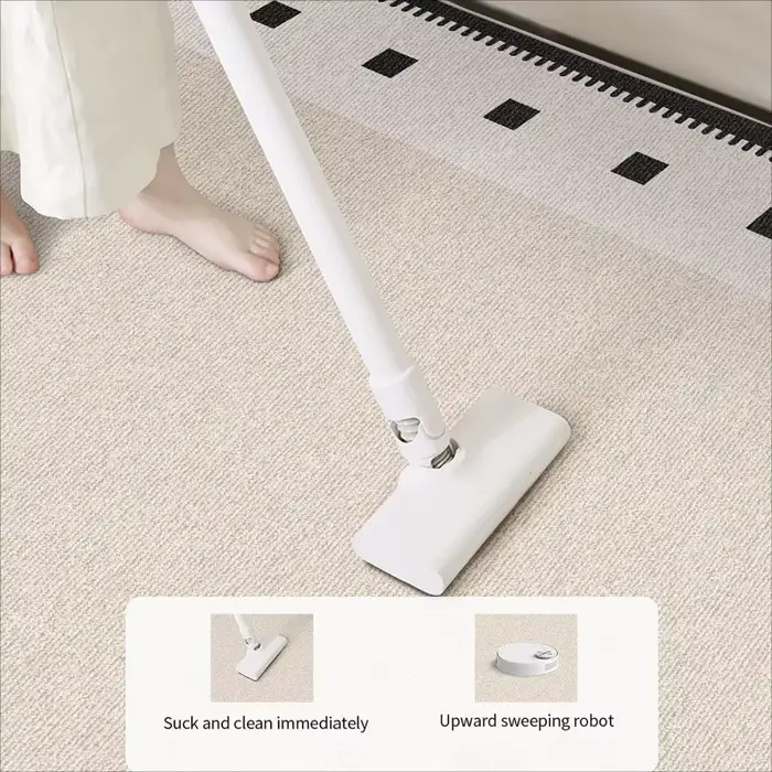 Tapis de grande taille pour salon
