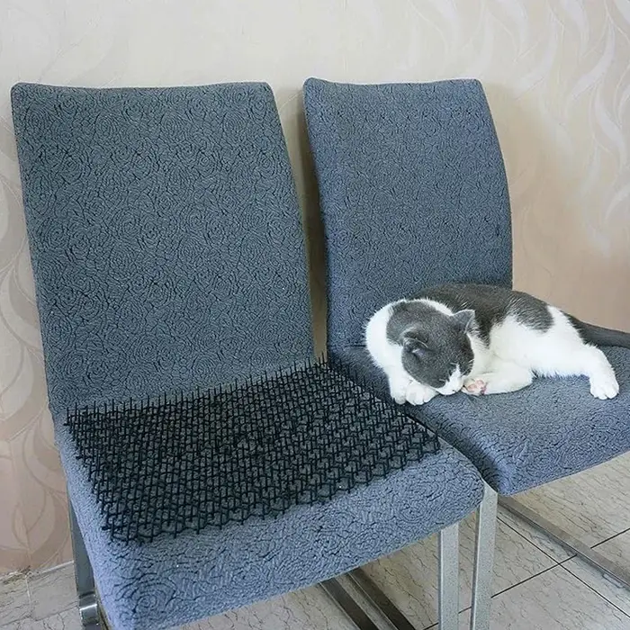 Tapis anti-parasites à picots pour chats et chiens