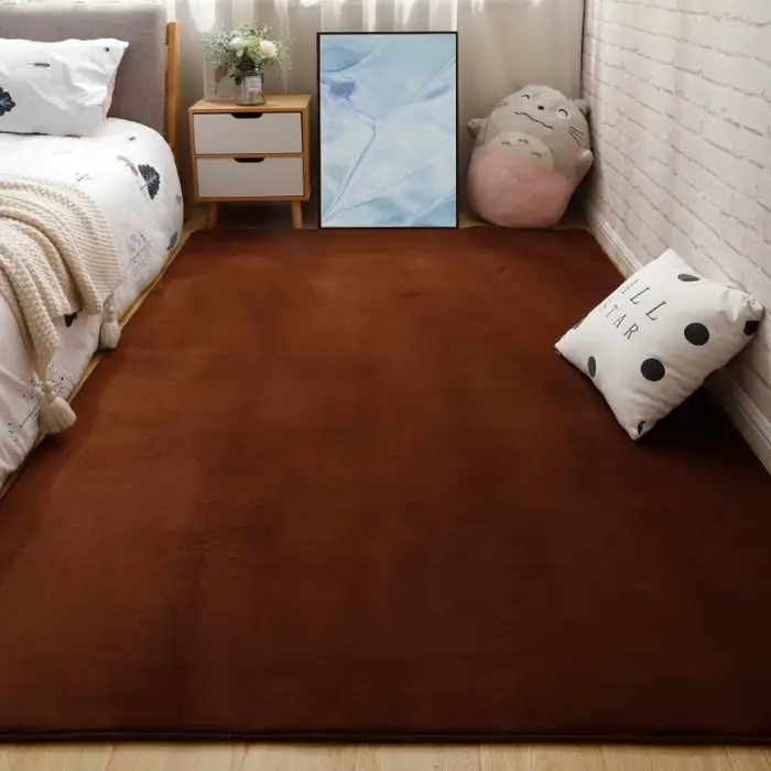 Grands tapis pour salon moderne, couleur unie, velours de corail épais, tapis nordique moelleux, tap