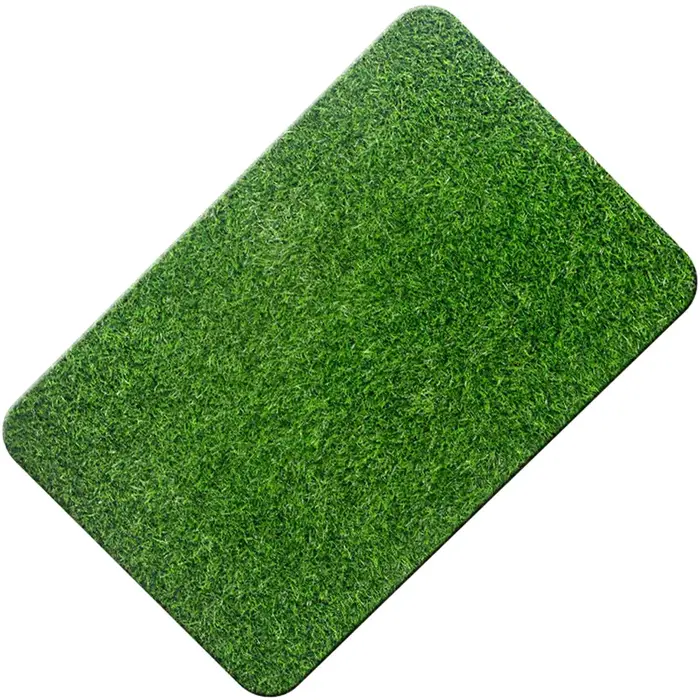 Tapis d'entrée antidérapant