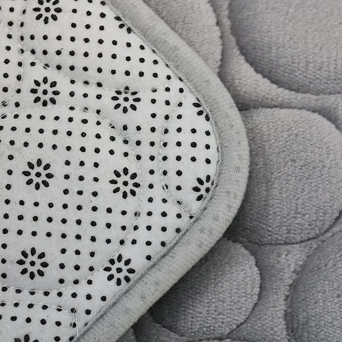 Tapis de sol en velours corail brodé, tapis de salle de bain, tapis absorbant en éponge en forme de U, tapis de porte, ensemble de deux pièces