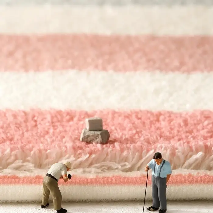 Tapis de décoration de chambre à coucher de Style français