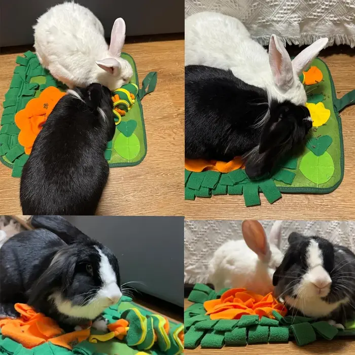Tapis de nez reniflard pour lapins et petits animaux